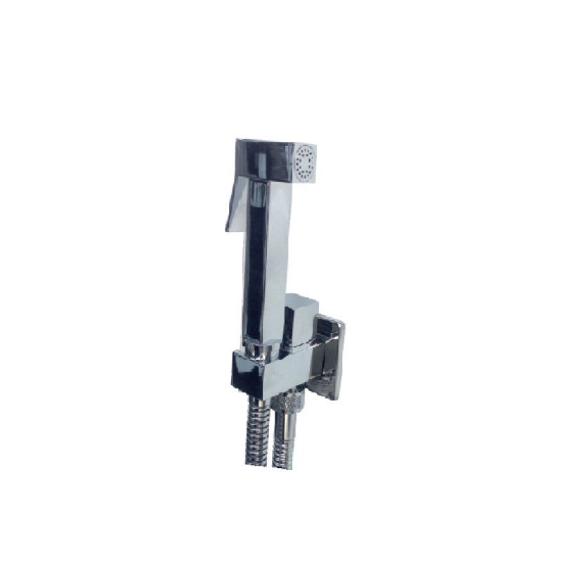 Style slim square douche kit including shut off valve, outlet with holder and ho (2011)