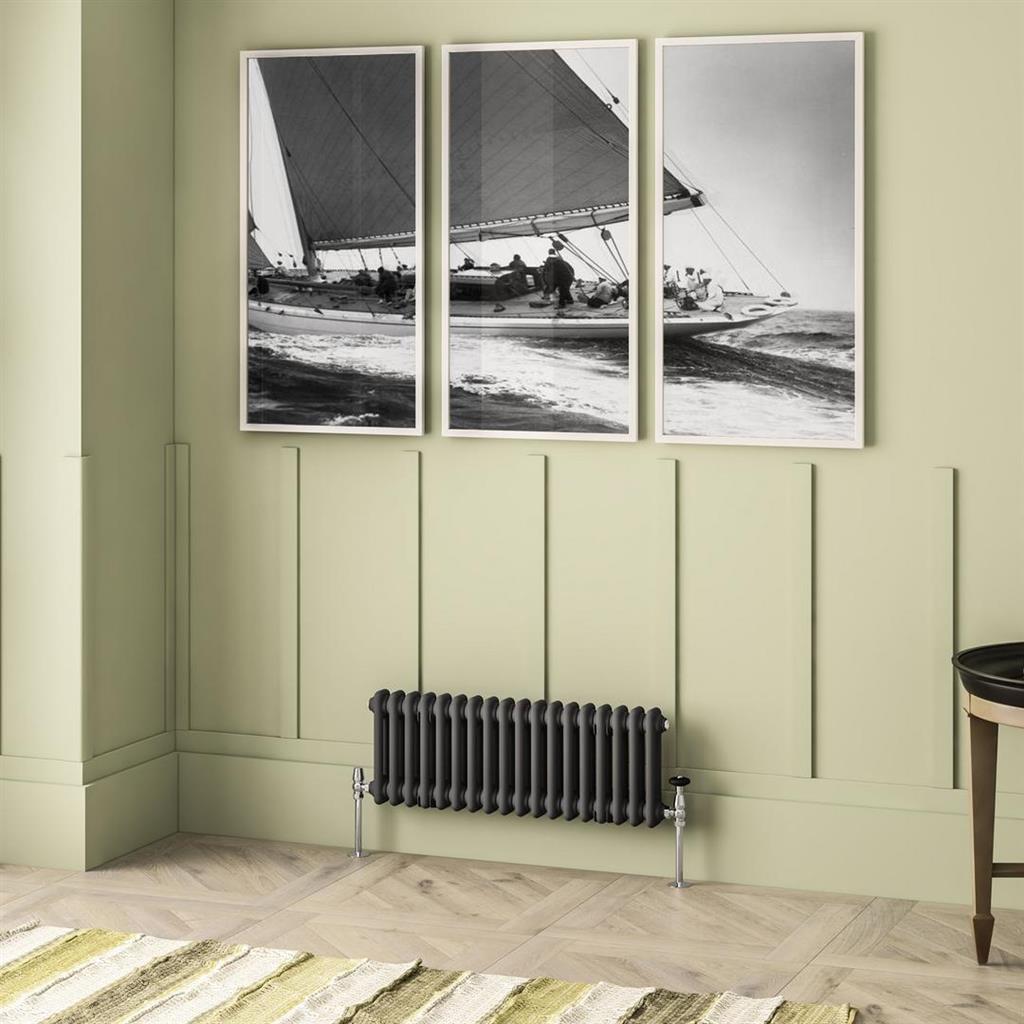 Imperia 2 Column Radiator 300 x 830mm Matt Anthracite