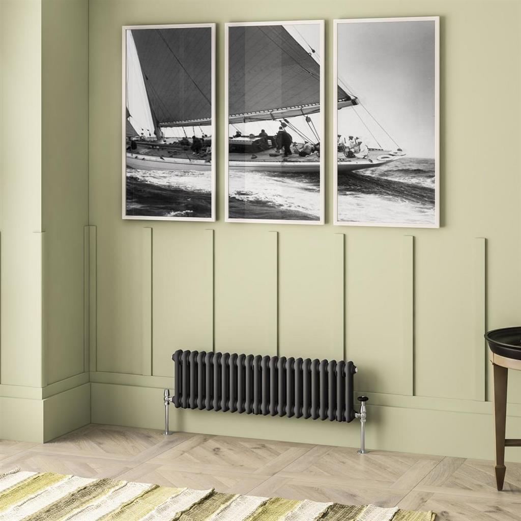 Imperia 2 Column Radiator 300 x 1010mm Matt Anthracite