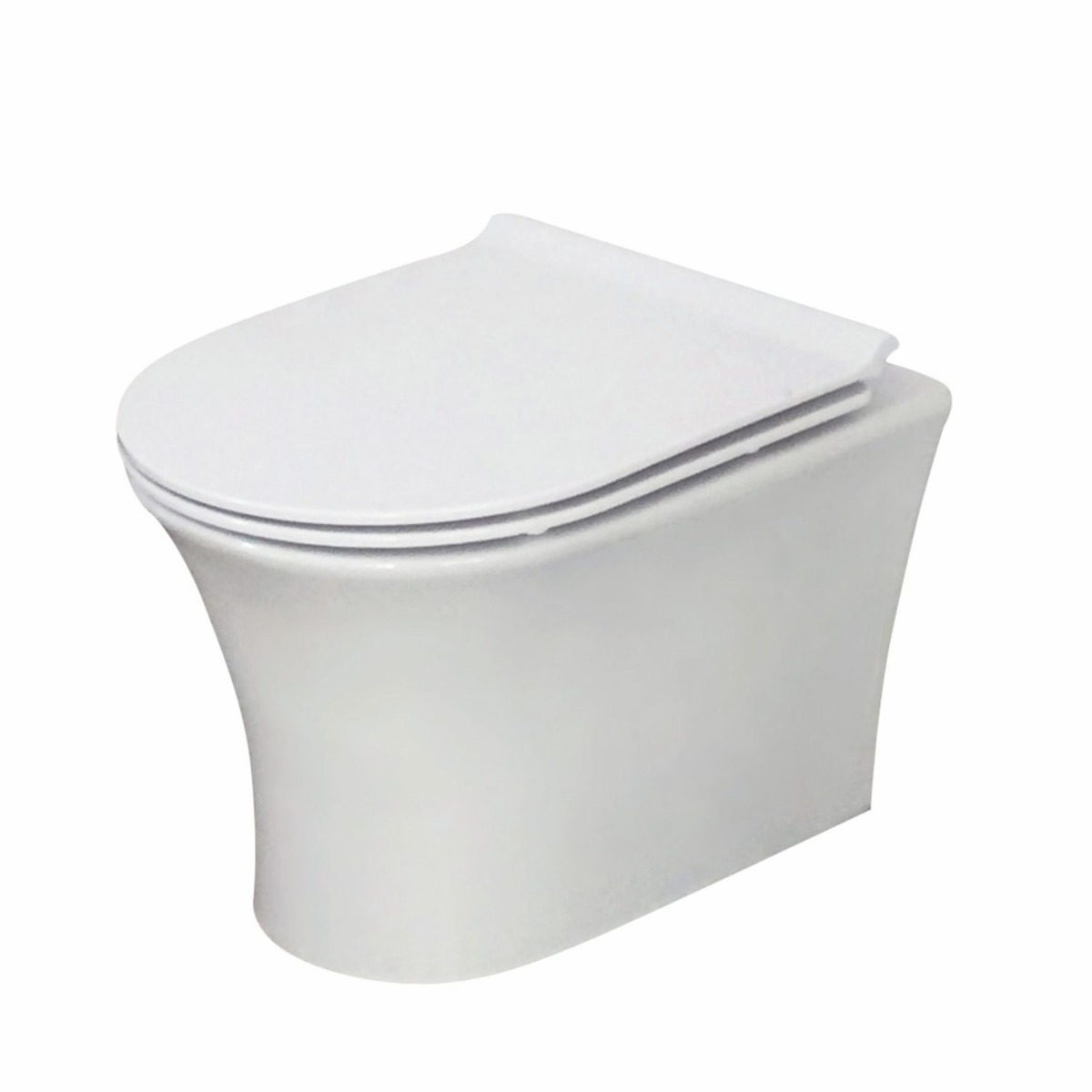 Darlo Rimless Wall Hung Pan