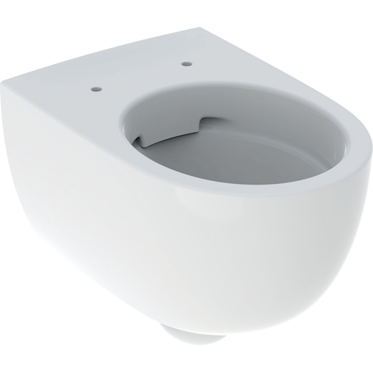 Selnova wall-hung WC shrouded, Rimfree Toilet