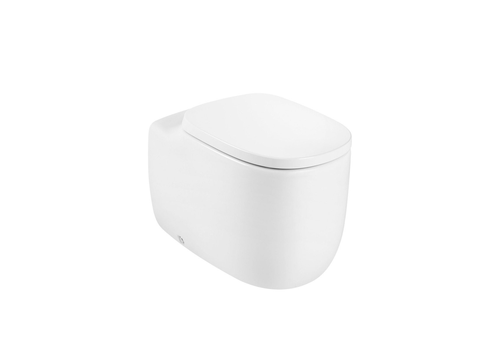 Back to wall single floorstanding Rimless WC
