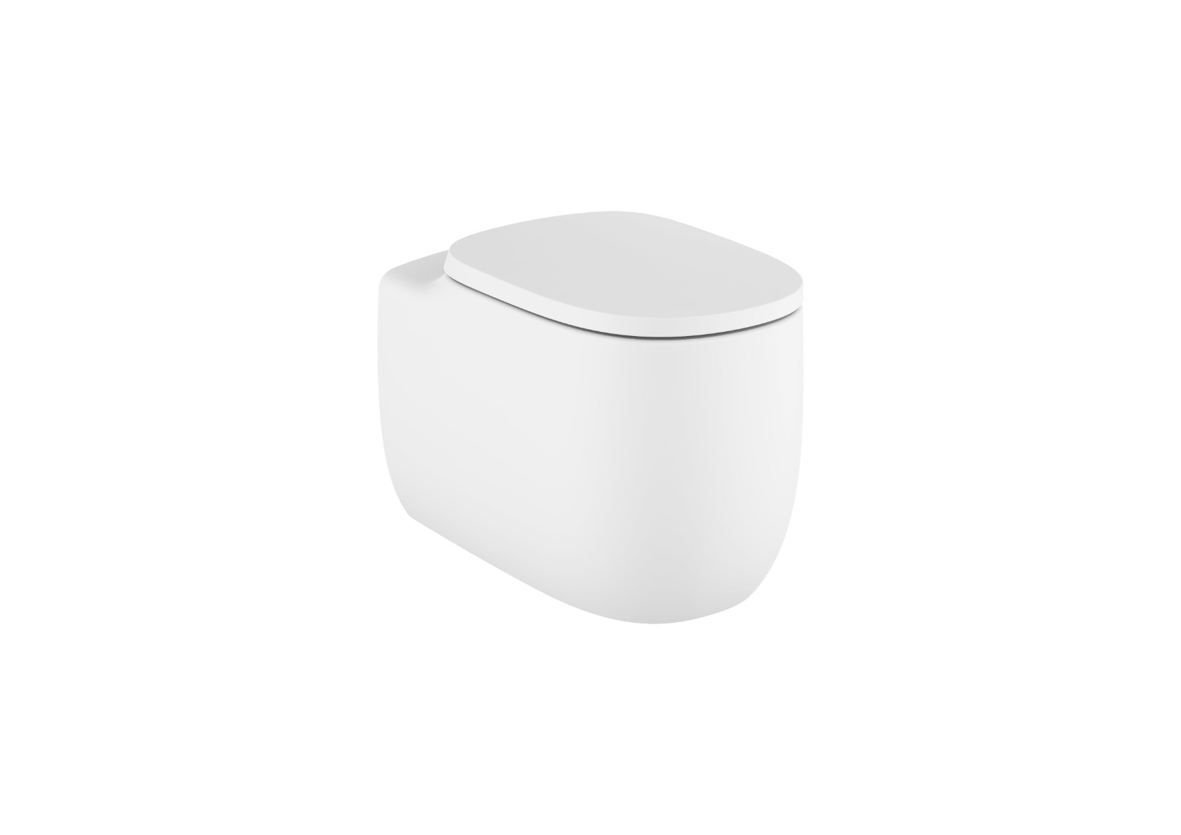 Back to wall single floorstanding Rimless WC MATT WHITE