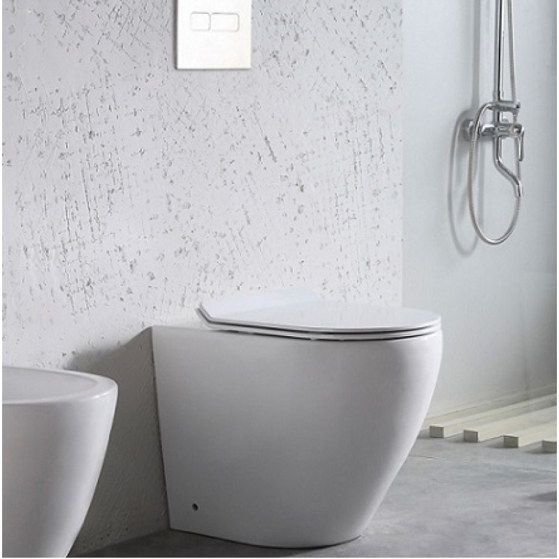 Dexor high-rise back to wall pan & soft close seat (DEX002)