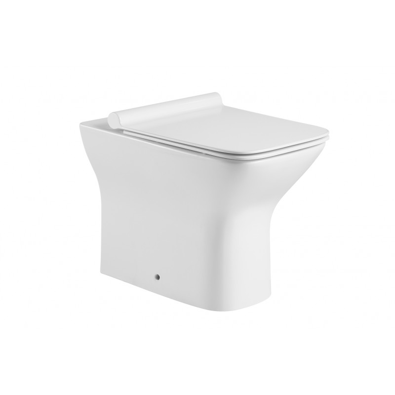 Impression rimless back to wall pan & soft close seat (IMP602)
