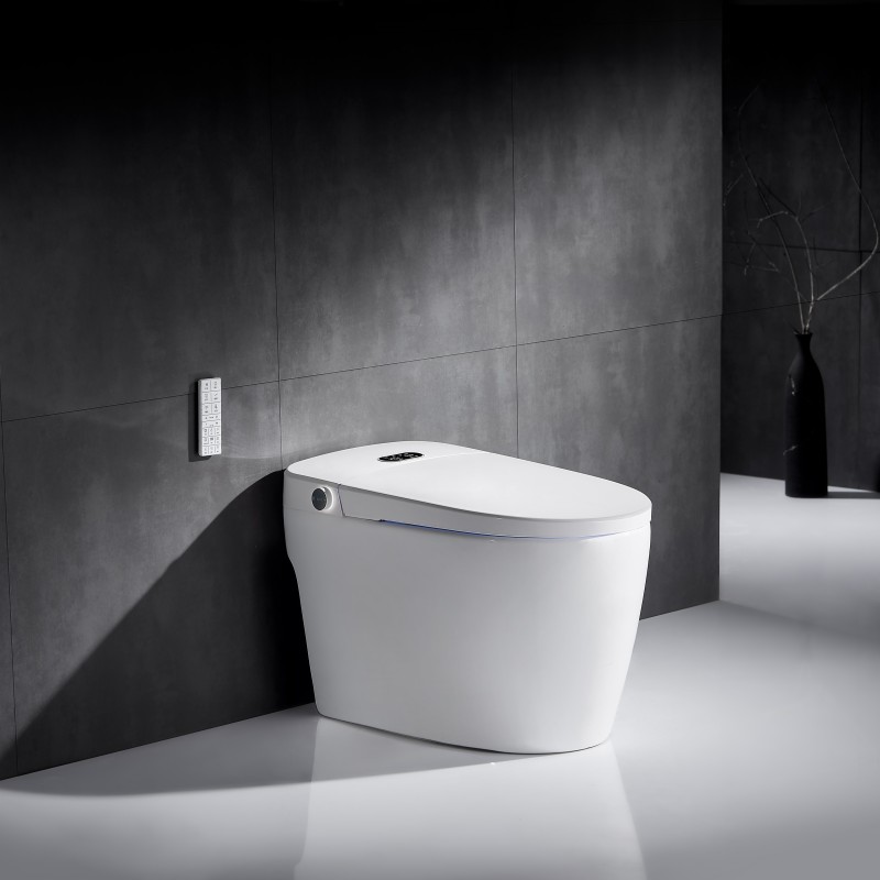 Intelligent, Tankless rimless BTW pan; with bidet, soft close, temperature contr (INT-002)