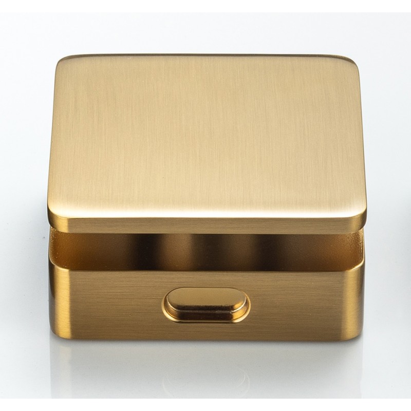Aquamist square steam head - Brush Gold (AQM-SH-BG)
