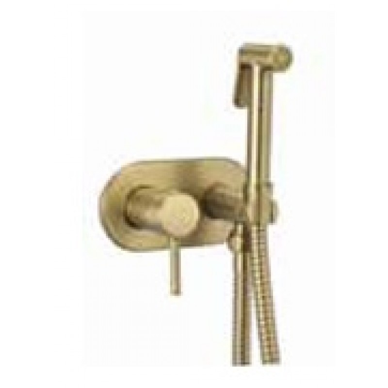 Manual Round Concealed Douche Pack - All in one Brush Gold (P103-BG)