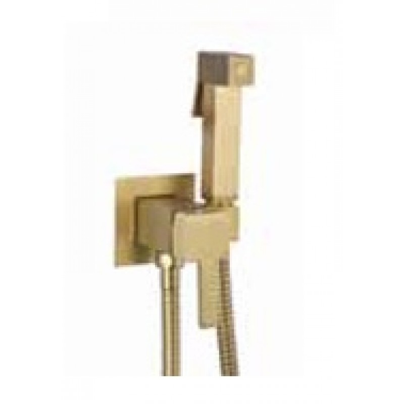 Manual Douche Pack - SQUARE - All in one Brush Gold (P202-BG)