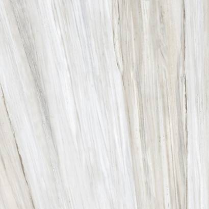 Palissandro Ivory Matt 120x120 - price per m2