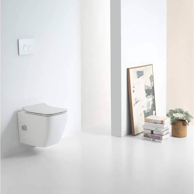 Style rimless wall hung WC with hot/cold bidet mixing valve pan with soft close (STY001-B)