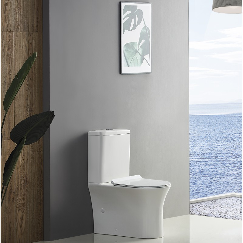 Wave rimless high-rise C/C WC (fully back to wall) with Geberit flush fittings & (WAV504)